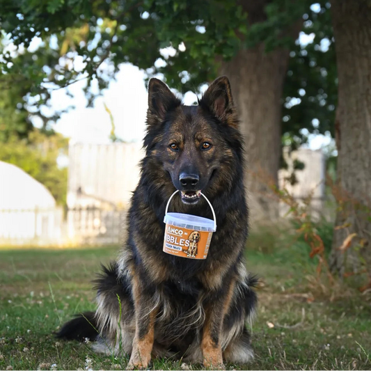 Anco Nibbles Chicken Treats 300g