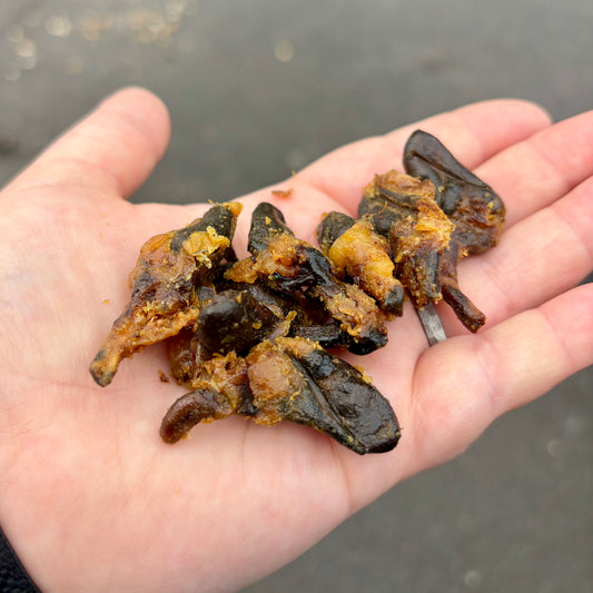 Hand holding dog natural treats chicken hearts against a blurred background
