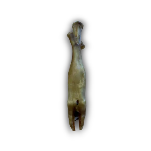 Natural Lamb Trotter
