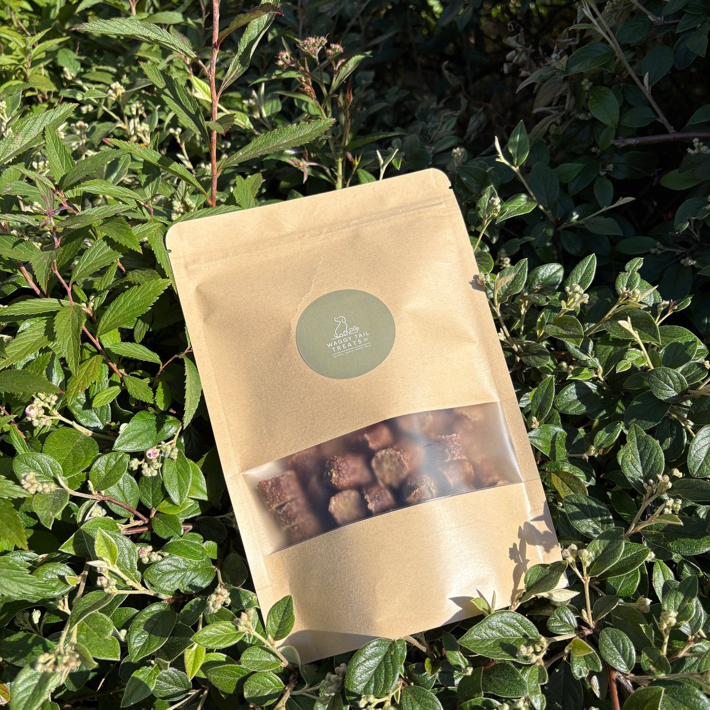 Kraft paper packaging with a clear window showing contents, placed on green foliage.