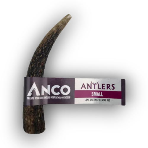Anco Antlers small dog chew on a white background