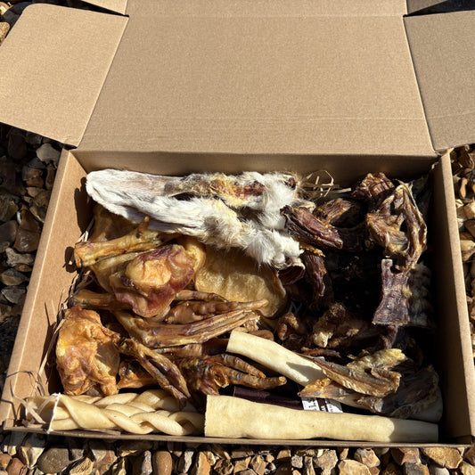 An open cardboard box filled with assorted dog chew bones and treats, photographed outdoors on a bed of small brown and tan pebbles.
