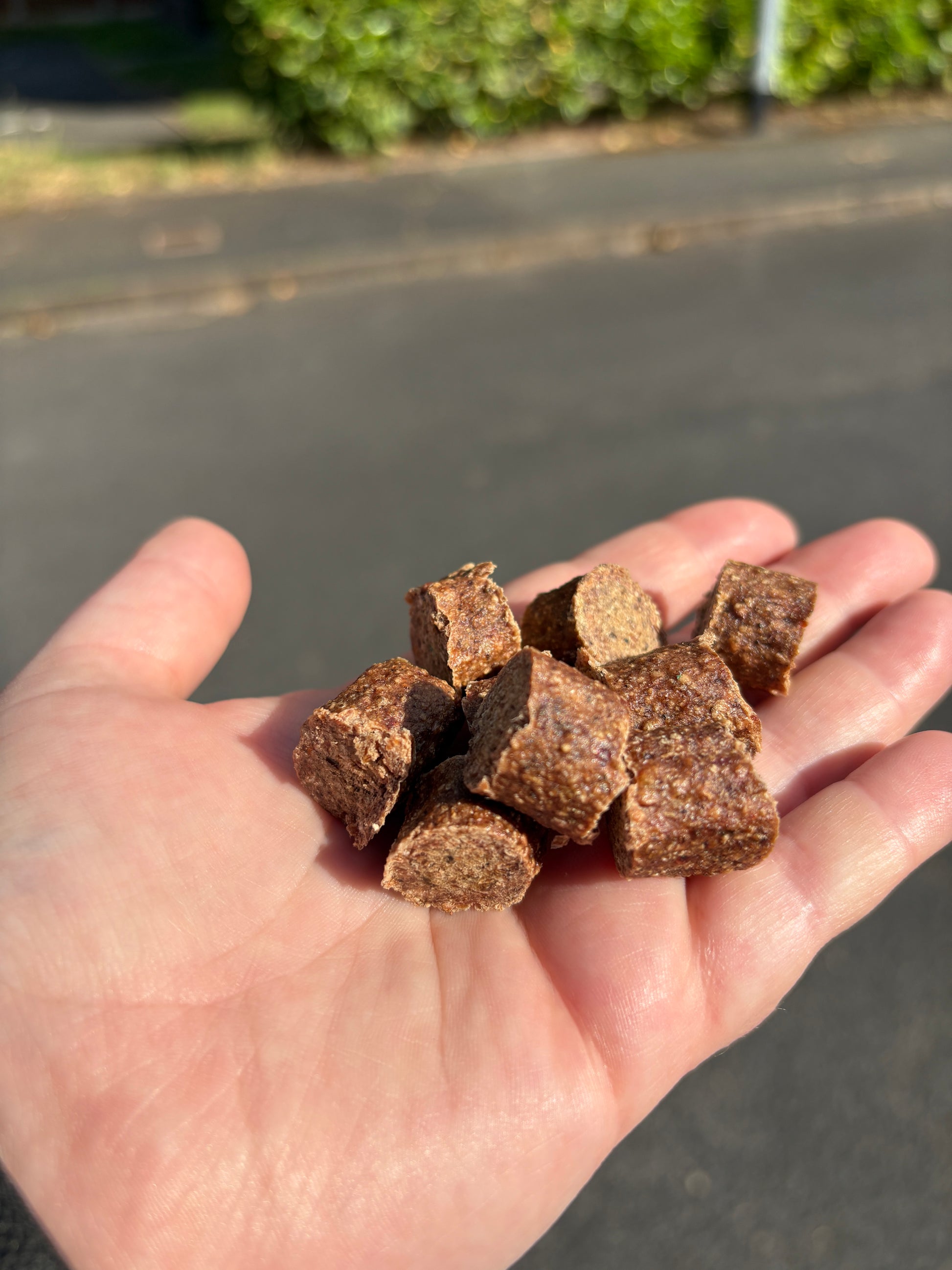 Hand holding a small pile of brown pet treats against a neutral background