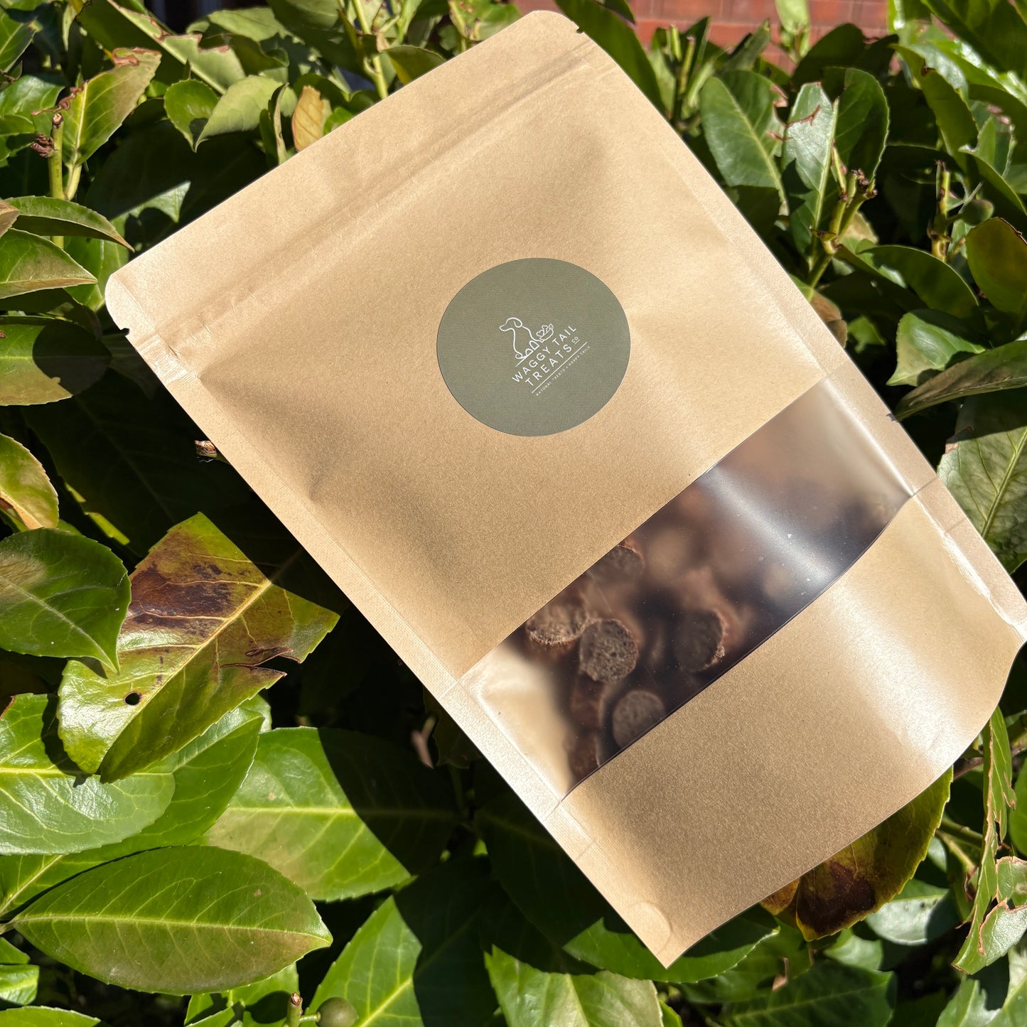 Beige packaging with a window showing natural dog treats on green leaves.