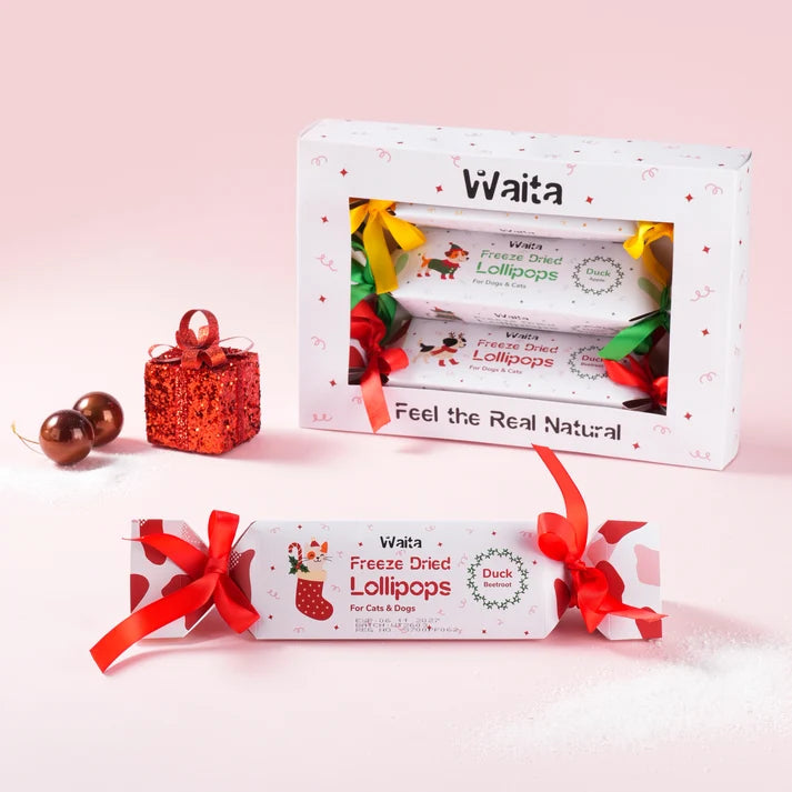 Waita Freeze Dried Christmas Cracker Gift Box