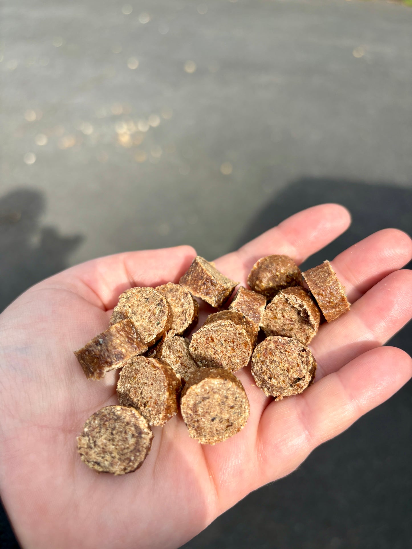 Hand holding a handful of brown pet treats with a blurred background