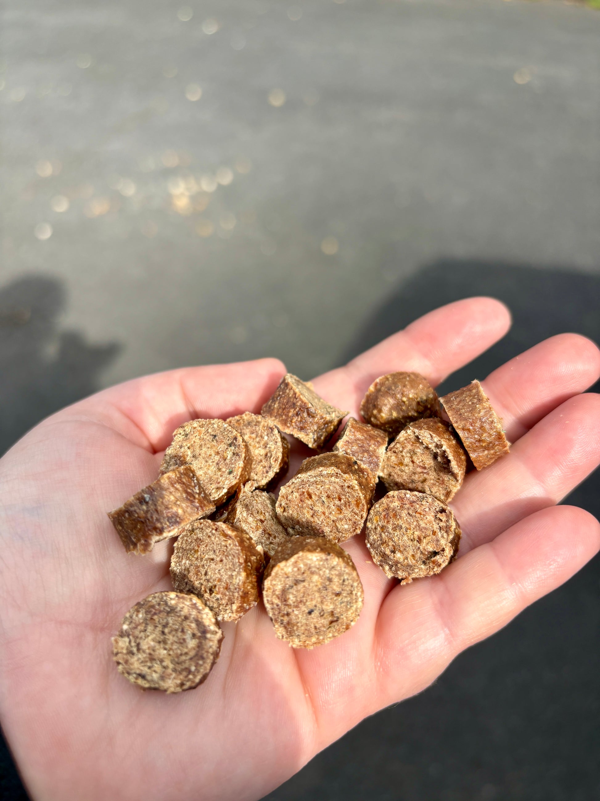 Hand holding a handful of brown pet treats with a blurred background