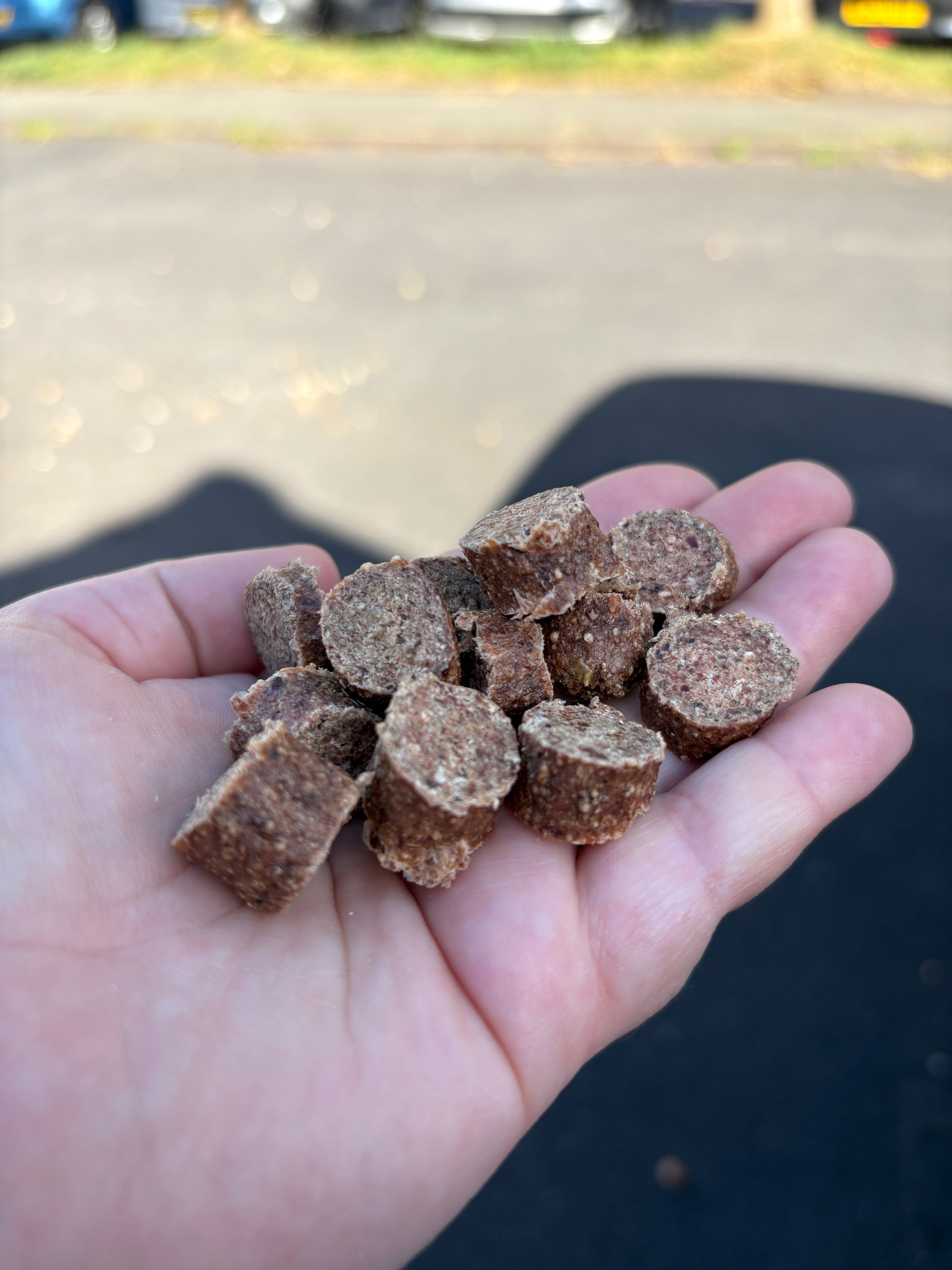 Hand holding a small pile of brown dog treats with a blurred outdoor background