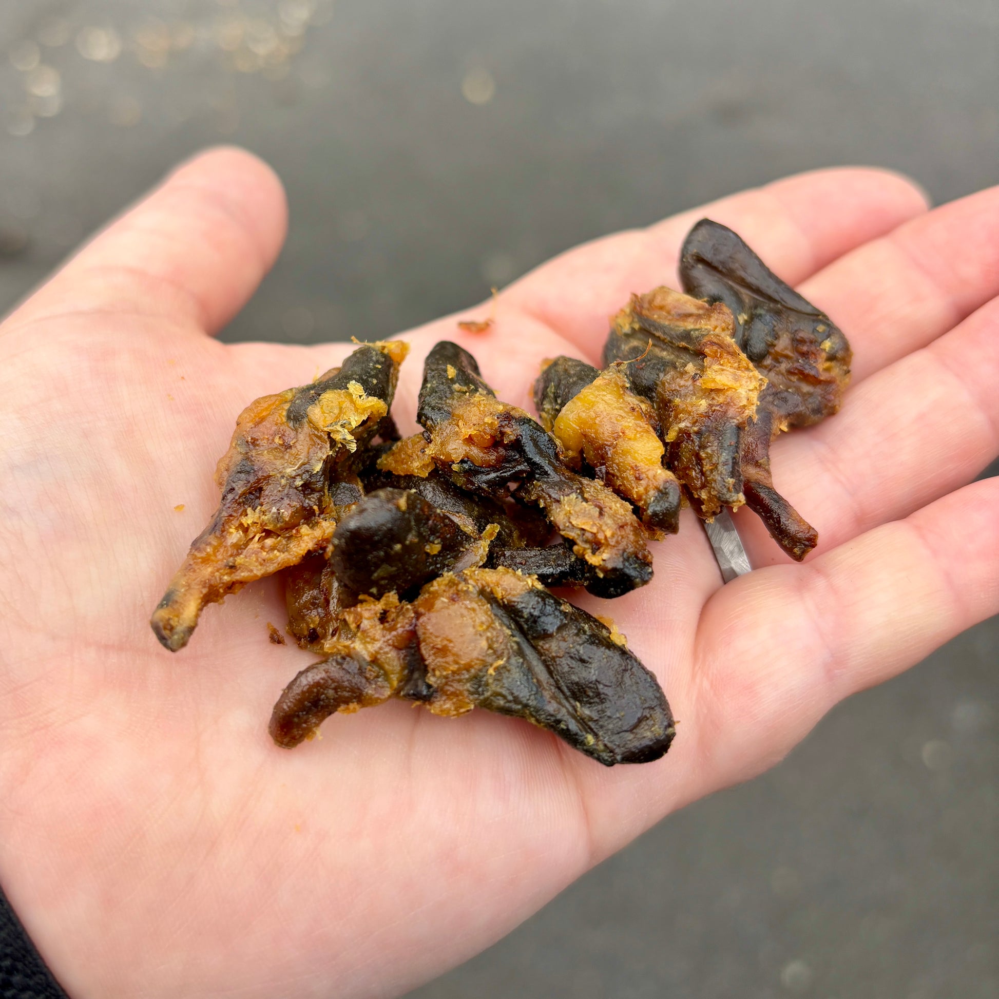 Hand holding dog natural treats chicken hearts against a blurred background