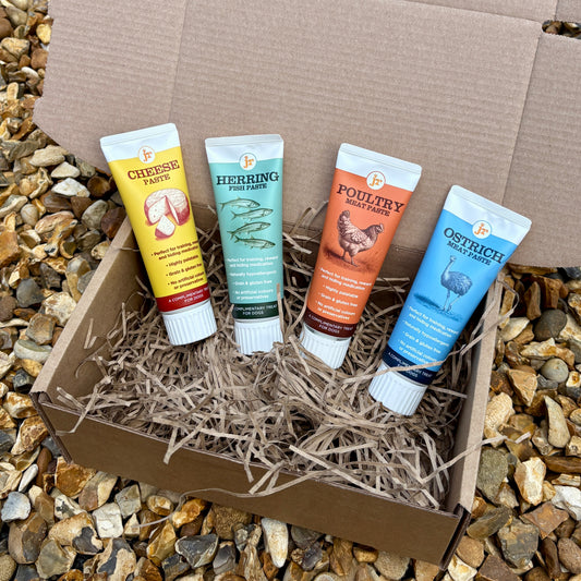 JR Premium Paste for dog training