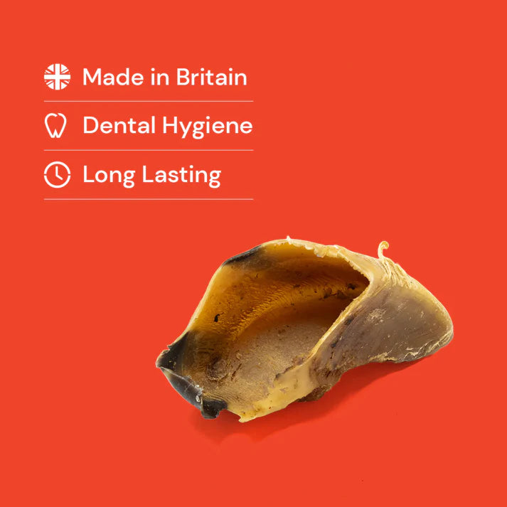 Cow hoof on a red background with 'Made in Britain', 'Dental Hygiene', and 'Long Lasting' text.